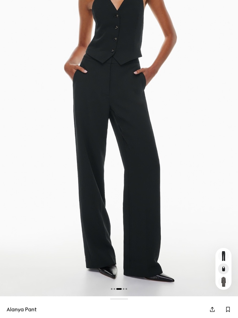Aritzia Alanya High-Rise Wide-Leg Pants — Black